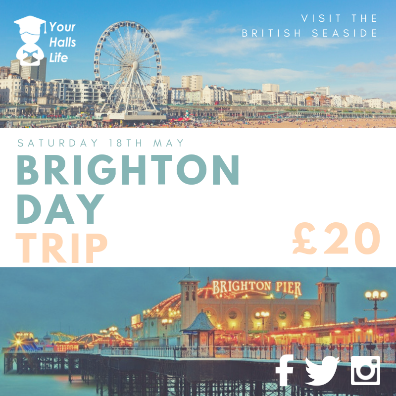 brighton trip guide